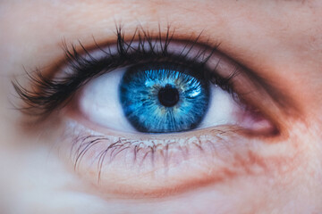 close up of a female blue eye with long black eyelashes - obrazy, fototapety, plakaty