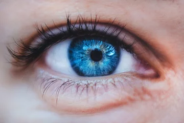Foto op Canvas close up of a female blue eye with long black eyelashes © Ianina