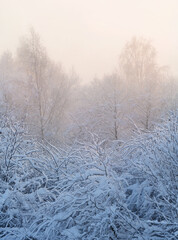 landscape with trees