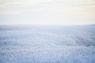Majestic winter in Finland