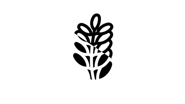 moringa bio vitamin food line icon animation
