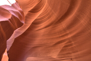 Lower Antelope Slot Canyon with its colorful colors from the canyon floor