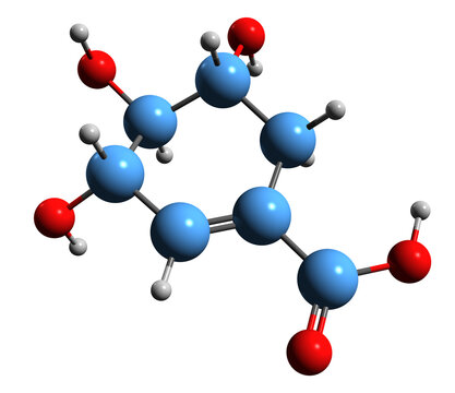  3D image of Shikimic acid skeletal formula - molecular chemical structure of  cyclohexene isolated on white background
