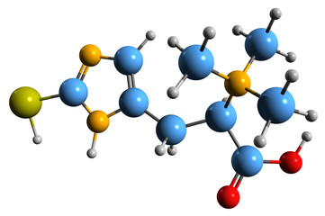  3D image of Ergothioneine skeletal formula - molecular chemical structure of  Thiasine isolated on white background