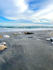 Sand and the sea, oceanside