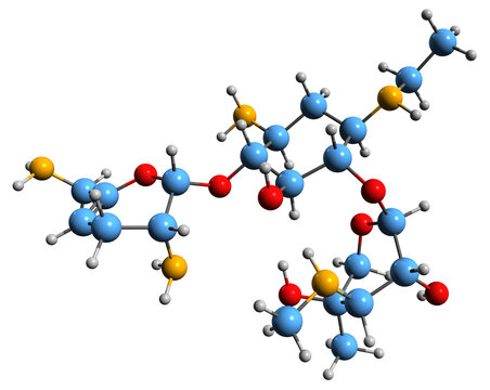  3D image of Netilmicin skeletal formula - molecular chemical structure of  semisynthetic aminoglycoside antibiotic isolated on white background