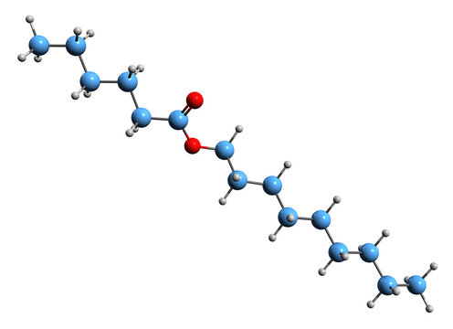  3D image of Nonyl hexanoate skeletal formula - molecular chemical structure of hexanoic acid nonyl ester isolated on white background