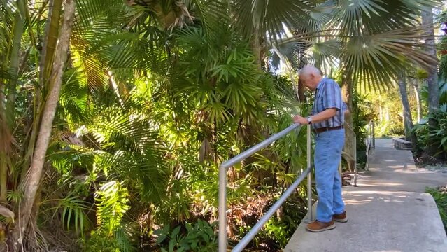 Elderly man standing in a botanical garden and enjoying nature