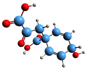  3D image of Prephenic acid skeletal formula - molecular chemical structure of  anionic form prephenate isolated on white background
