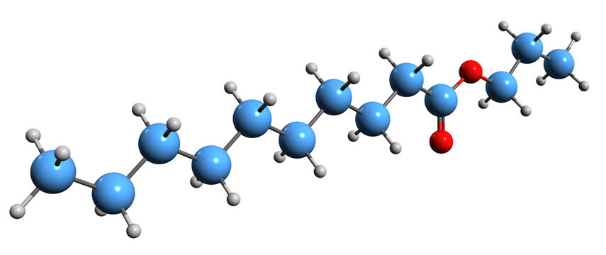  3D image of Propyl decanoate skeletal formula - molecular chemical structure of propyl caprate isolated on white background
