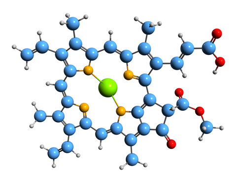 3D image of Protochlorophyllide skeletal formula - molecular chemical structure of Monovinyl protochlorophyllide isolated on white background

