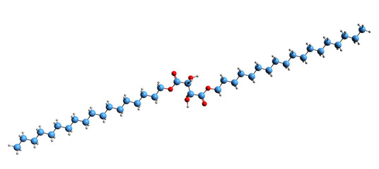  3D image of Stearyl tartrate skeletal formula - molecular chemical structure of Food supplement isolated on white background