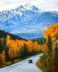 Scenic road trip with rocky mountain in autumn forest at Jasper national park, Canada - obrazy, fototapety, plakaty