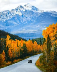 Poster Scenic road trip with rocky mountain in autumn forest at Jasper national park, Canada © Victoria Nefedova
