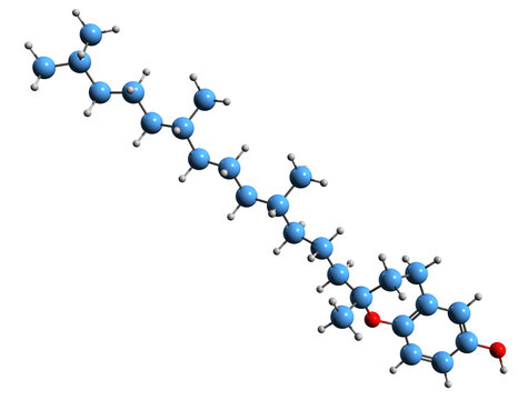  3D image of Tocol skeletal formula - molecular chemical structure of D-Desmethyltocopherol isolated on white background