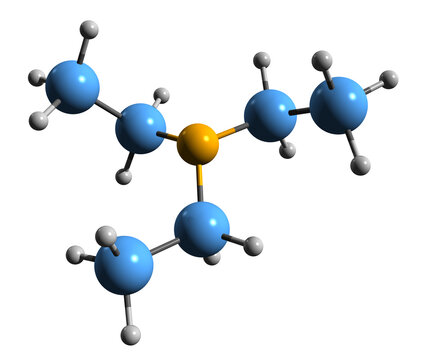  3D image of Triethylamine skeletal formula - molecular chemical structure of TEA isolated on white background

 