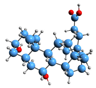 3D image of Ursodeoxycholic acid skeletal formula - molecular chemical structure of ursodiol isolated on white background
