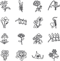 Wild flowers outline vector icons