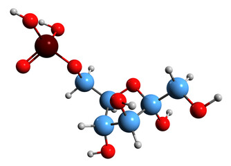  3D image of Fructose 6-phosphate skeletal formula - molecular chemical structure of Neuberg ester isolated on white background