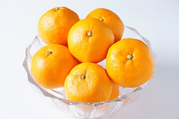 みかん　有田みかん