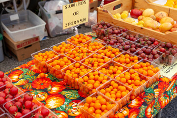 Cherry Tomatoes at Farmer's Market