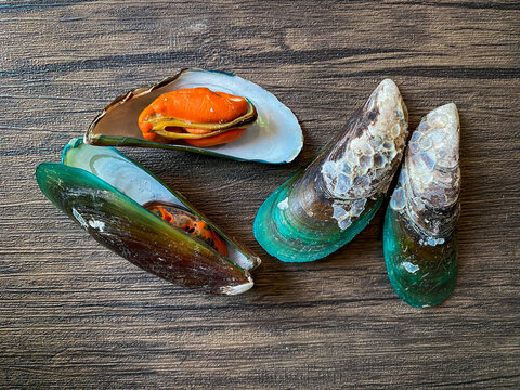 Steamed fresh mussels (Perna viridis) on wooden background
