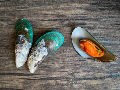 Steamed fresh mussels (Perna viridis) on wooden background