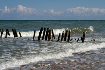 View of the Baltic Sea and wooden breakwaters on the Curonian Spit beach on a sunny summer day,...