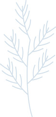 Winter botanical pine leaf branch