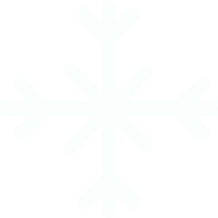 Fototapeta premium Christmas snowflake