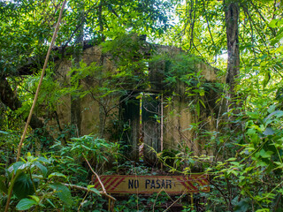 abandoned cabin in iguazu national park rainforest