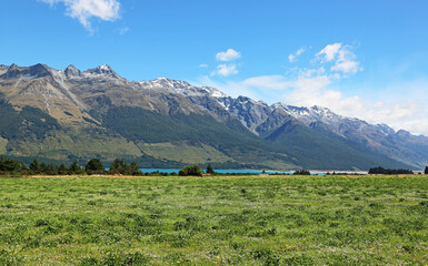 Thomson mountains and green pasture - New Zealand
