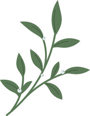 Fototapeta premium Christmas winter leaf branch