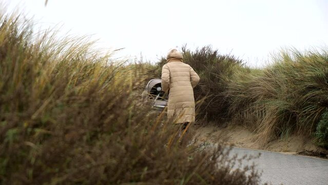 Slow motion shot of woman with baby buggy walking on path between dunes grass during windy day at beach in Netherlands