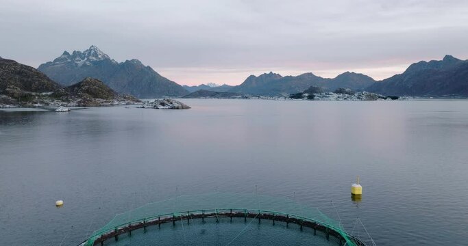 Drone pullback over marine pens in Lofoten stocked with salmon - Norway aquafarm