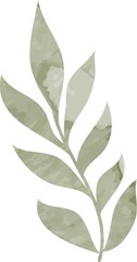 Watercolor leaf branch 