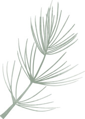 Watercolor pine leaf branch 