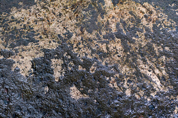 Golden brown concrete and stone wall with black mildew grunge background texture