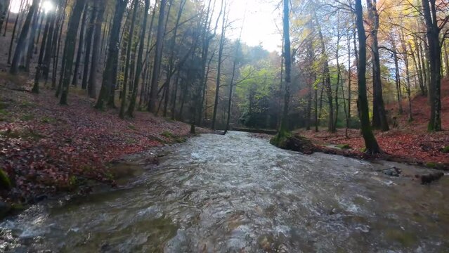 A low-altitude FPV drone flight over a river in Quinto Real in pyrenees forest, surrounded by trees and dry leaves on the ground. Recorded in Navarra during the autumn season