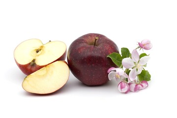 Red apple next to apple slices and apple blossoms