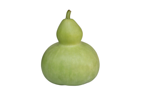 Bottle gourd, Calabash gourd, Flowered gourd, White flowered gourd or Lagenaria siceraria (Molina) Standl isolated on white background included clipping path.