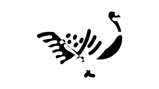 turkey farmland bird glyph icon animation