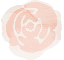 Watercolor rose flower illustration