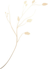 Gold hand drawn wildflower illustration