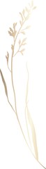 Gold hand drawn wild grass illustration