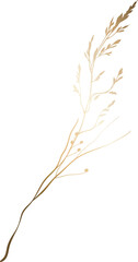 Gold hand drawn wild grass illustration