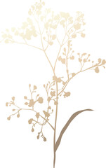 Gold hand drawn wildflower illustration