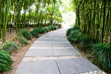 Stone walkway is surrounded by bamboo