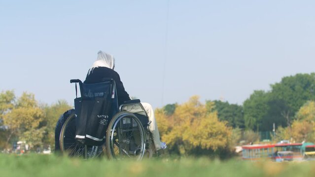 ground level shot - trees in the background with an old woman in a wheelchair - Yarkon Park Tel Aviv #007