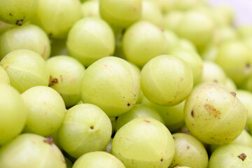 gooseberry stock on shop for sell